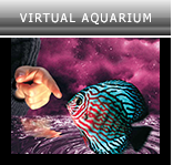 Virtual Aquarium